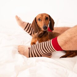 Si pudieras personalizar estos calcetines de San Valentín, ¿qué mensaje pondrías?
.
.
.
.
#regalossanvalentin #diadelosenamorados #ocasionesespeciales #calcetinesmolones #calcetinesconmensajes